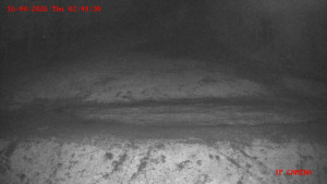 Skiareál Klepáčov - Červená sjezdovka - 16.4.2026 v 02:45