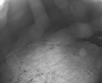 Snímek    11.5.2025 v 04:00