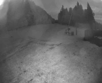Snímek    11.5.2025 v 04:30