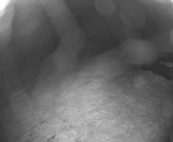 Snímek    12.5.2025 v 02:00