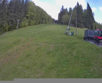 Snímek    12.5.2025 v 09:30