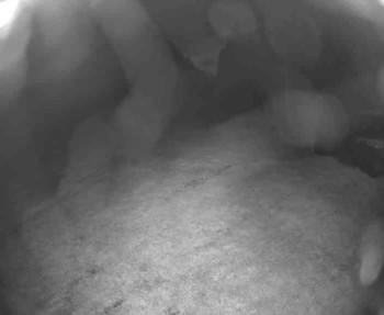 Snímek    12.5.2025 v 21:45