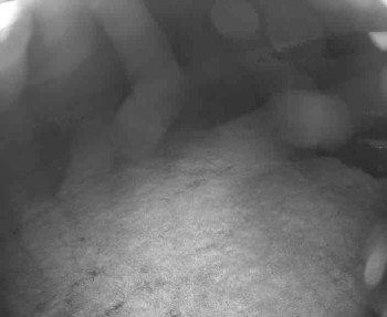 Snímek    12.5.2025 v 22:15