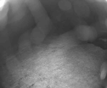 Snímek    13.5.2025 v 03:45