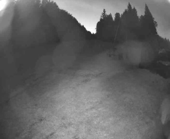Snímek    13.5.2025 v 21:15
