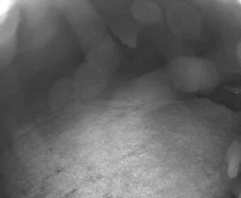 Snímek    13.5.2025 v 21:45