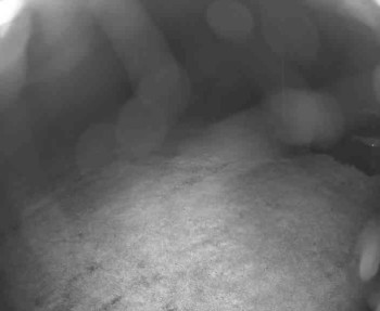 Snímek    13.5.2025 v 22:30