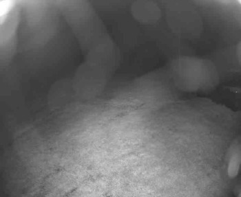 Snímek    13.5.2025 v 22:45