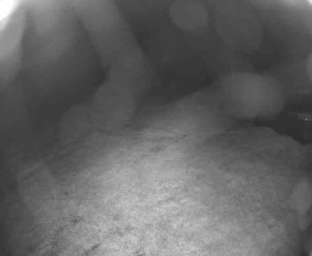 Snímek    13.5.2025 v 23:00