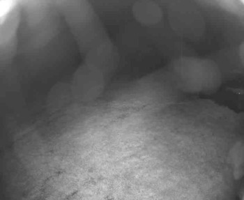 Snímek    13.5.2025 v 23:15