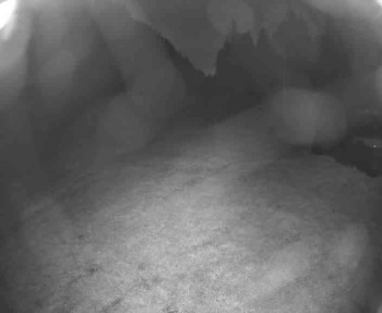 Snímek    14.5.2025 v 21:30