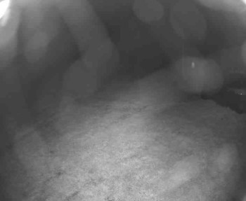 Snímek    14.5.2025 v 23:15