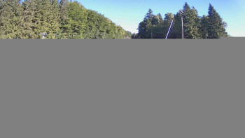 Snímek    1.7.2025 v 08:00