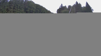 Snímek    4.7.2025 v 05:30