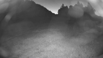 Snímek    4.7.2025 v 22:00