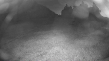 Snímek    5.7.2025 v 03:45