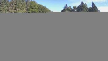 Snímek    5.7.2025 v 08:45
