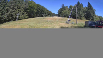 Snímek    5.7.2025 v 11:00