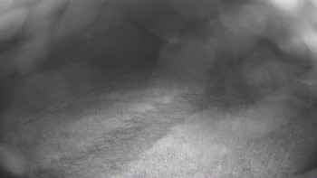 Snímek    6.7.2025 v 03:30