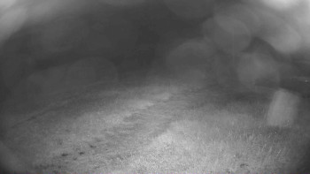 Snímek    12.7.2025 v 22:15