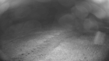 Snímek    12.7.2025 v 23:15