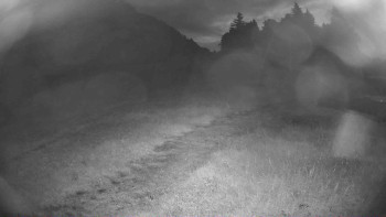 Snímek    13.7.2025 v 04:00