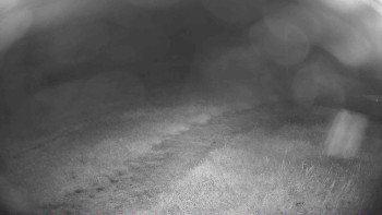 Snímek    14.7.2025 v 03:15