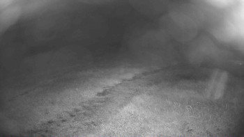 Snímek    14.7.2025 v 22:15
