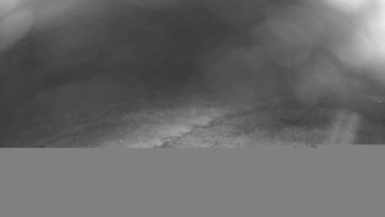 Snímek    14.7.2025 v 23:15