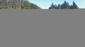 Snímek    15.7.2025 v 08:45
