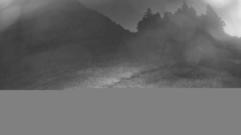 Snímek    16.7.2025 v 04:00