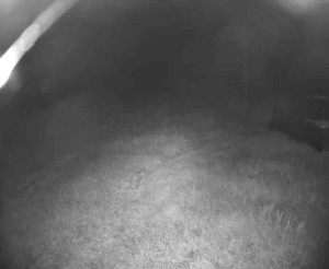 Lyžařský vlek Karlova Studánka - Sjezdovka - 15.8.2025 v 03:45