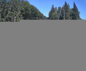 Lyžařský vlek Karlova Studánka - Sjezdovka - 15.8.2025 v 10:45
