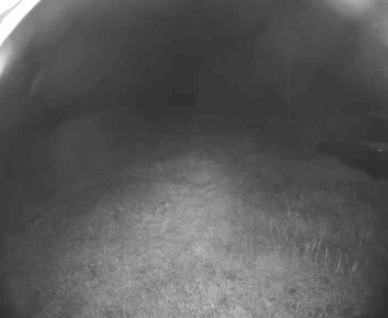 Snímek    28.8.2025 v 04:45