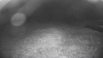 Snímek    13.9.2025 v 03:45