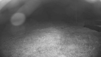 Snímek    13.9.2025 v 04:45