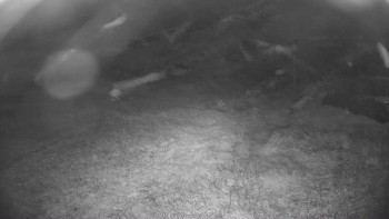 Snímek    13.9.2025 v 20:30