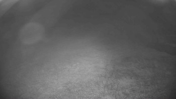 Snímek    14.9.2025 v 01:45