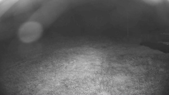 Snímek    14.9.2025 v 03:30
