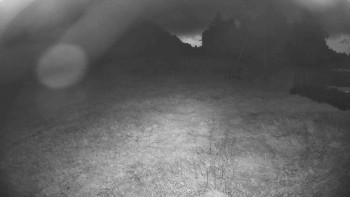 Snímek    15.9.2025 v 19:45