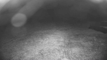 Snímek    15.9.2025 v 20:30