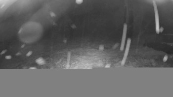 Snímek    15.9.2025 v 20:45