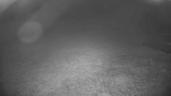 Snímek    15.9.2025 v 21:00
