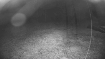 Snímek    15.9.2025 v 21:15