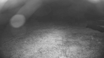 Snímek    16.9.2025 v 04:15