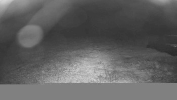 Snímek    16.9.2025 v 05:00