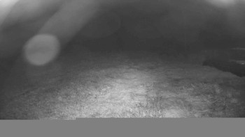 Snímek    16.9.2025 v 05:15