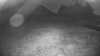 Snímek    16.9.2025 v 05:45