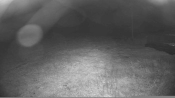 Snímek    16.9.2025 v 20:00