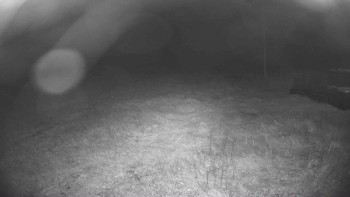 Snímek    17.9.2025 v 03:15